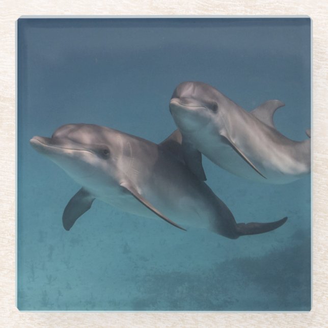 Playful Pose Glass Coaster (Front)