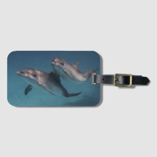 Playful Pose Luggage Tag