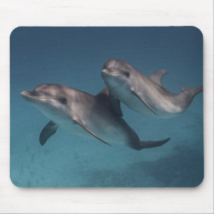 Playful Pose Mouse Pad