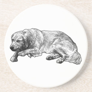 Playful Restful Companion Delivers Bright Spirit Coaster