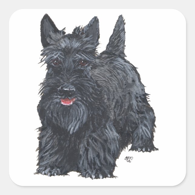 Playful Scottish Terrier Square Sticker (Front)