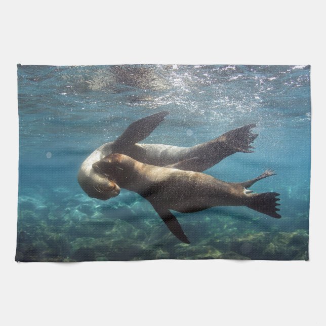 Playful sea lions Galapagos Islands Tea Towel (Horizontal)