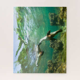 Playful Sea Lions Puzzle