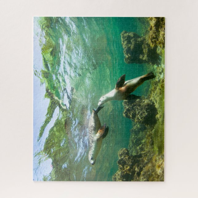 Playful Sea Lions Puzzle (Vertical)