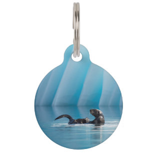 Playful Sea Otter Pet Tag