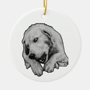 Playful Shadow In The Pine Ceramic Ornament