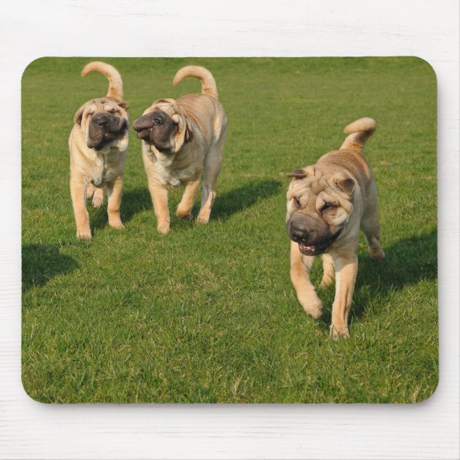 Playful Shar Pei Puppies Mouse Pad (Front)
