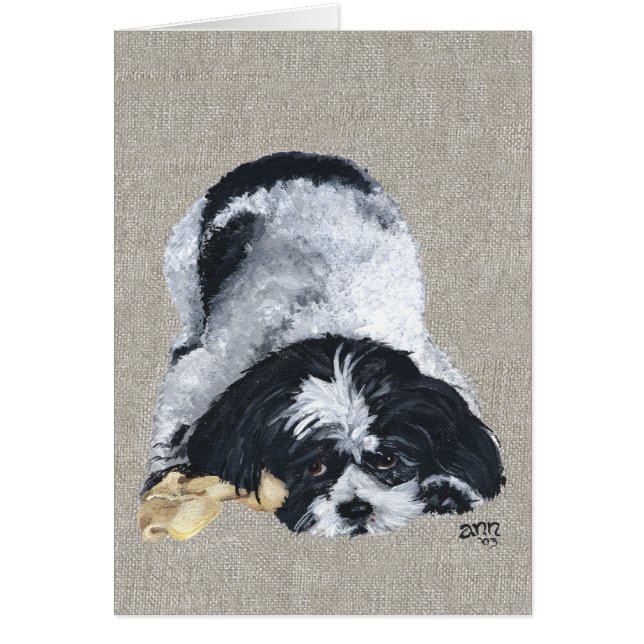 Playful Shih Tzu (Front)