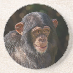 Playful Soul – Baby Chimpanzee Close-Up Coaster