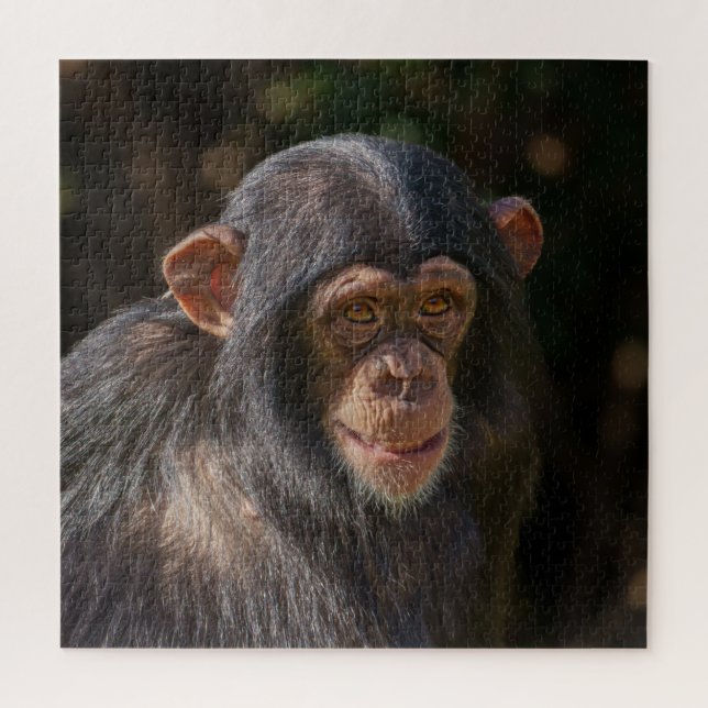 Playful Soul – Baby Chimpanzee Close-Up Jigsaw Puzzle (Vertical)