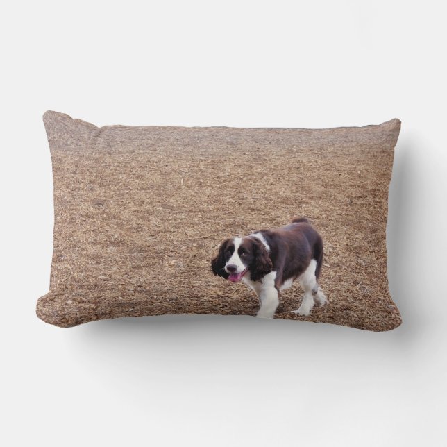 Playful Springer Spaniel Lumbar Cushion (Front)