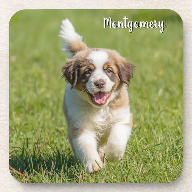 Playful St. Bernard Personalised Coaster Set (Front)