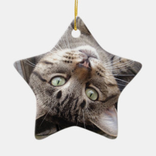Playful Striped Feral Tabby Cat Ceramic Tree Decoration