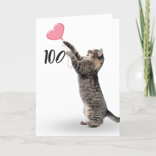 playful tabby cat for 100th birthday card
