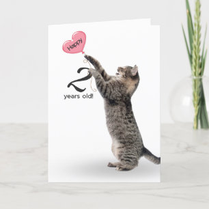 playful tabby cat for 2nd birthday card