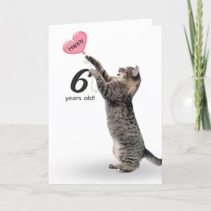 playful tabby cat for 6th birthday card
