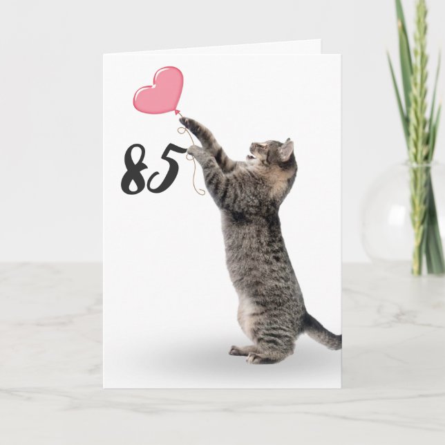 playful tabby cat for 85th birthday card (Front)