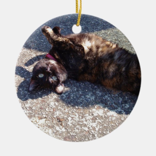 Playful Tortoiseshell Cat Ceramic Ornament (Front)