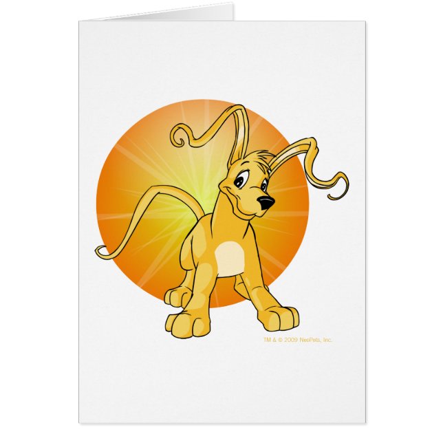 Playful yellow Gelert (Front)