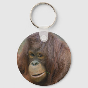 Playful Young Orangutan Baby Key Ring