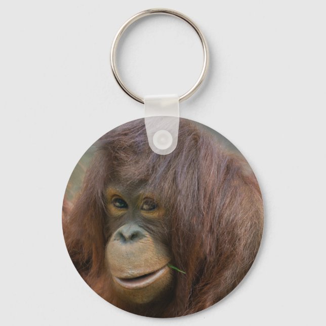 Playful Young Orangutan Baby Key Ring (Front)