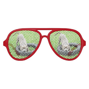 Playful Young Staffordshire Bull Terrier, Aviator Sunglasses