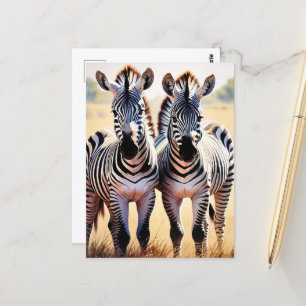 Playful Zebras Colourful Safari Inspired Art Postcard