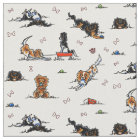 Playground Cavalier CKCS Spaniels White