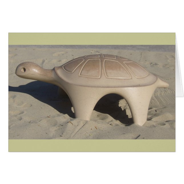 Playground Turtle (Front Horizontal)