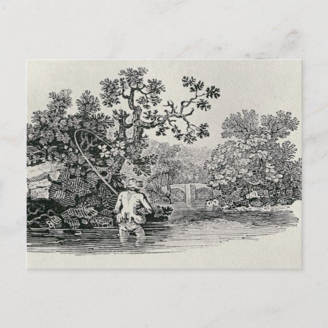 Playing a Salmon Postcard (Front)