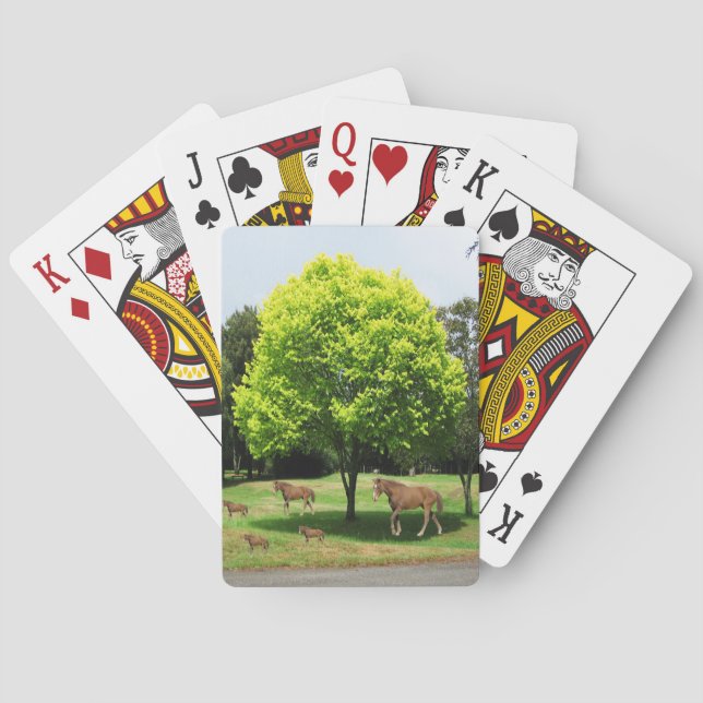 Playing Card Deck (Back)