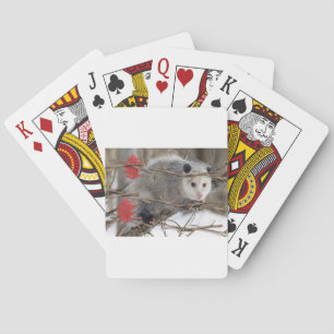 Playing Card Deck Opossum Nature
