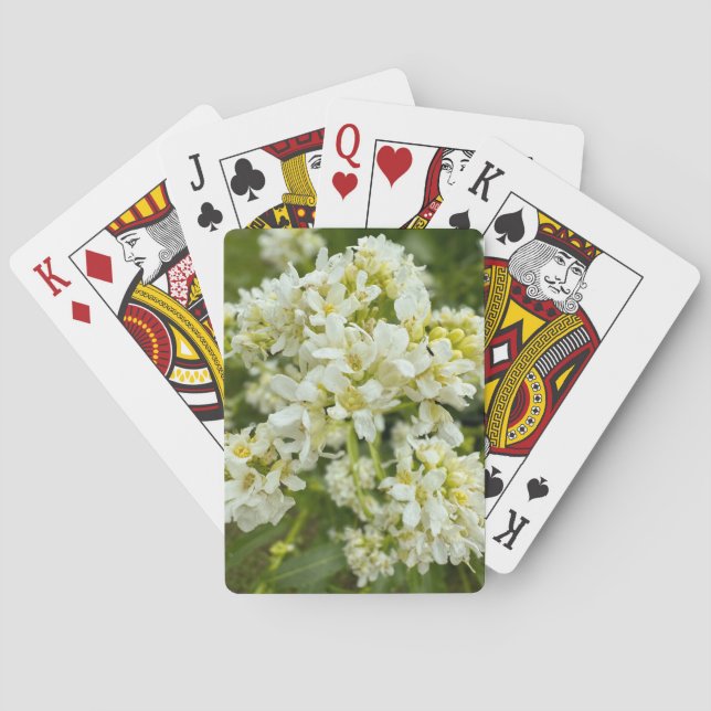 Playing Cards (Back)