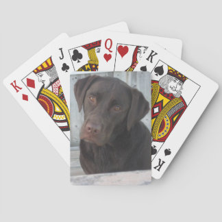 Playing Cards - Chocolate Lab