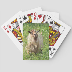 Playing Cards "Goat Themed "