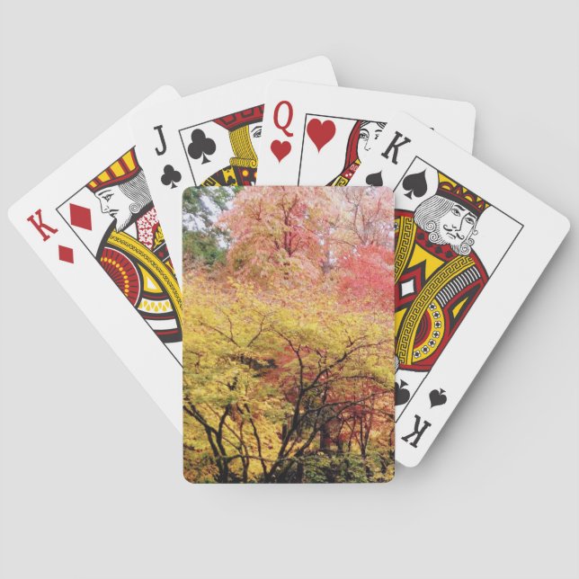 Playing cards in fall colours (Back)