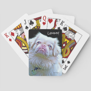 Playing Cards- Lemmy the Pekingese! Cards