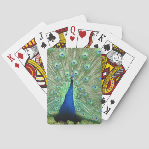 Playing Cards - Peacock