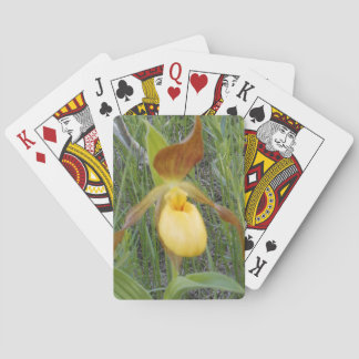 Playing Cards, Standard Cards