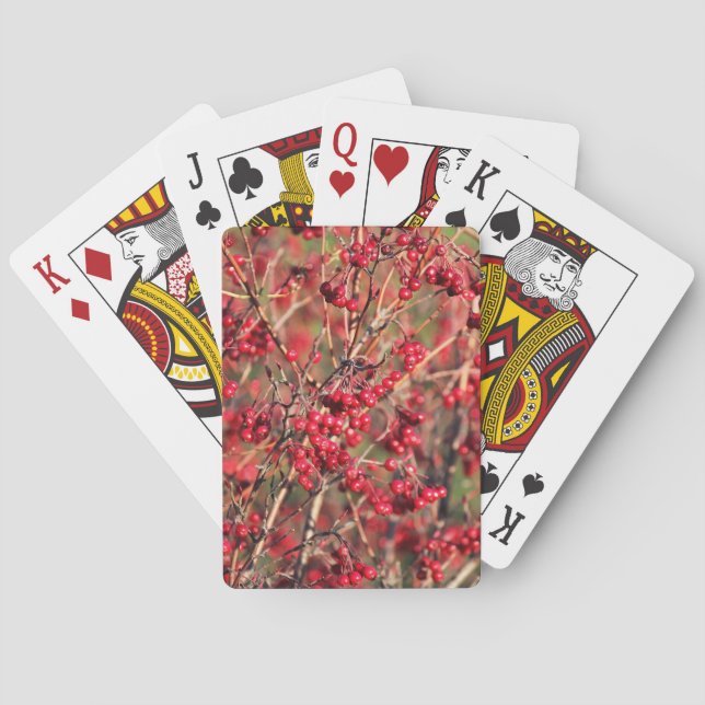 Playing Cards with Berries and Jumbo Index (Back)