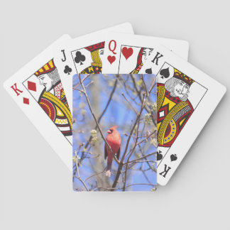 Playing cards with picture of northern Cardinal
