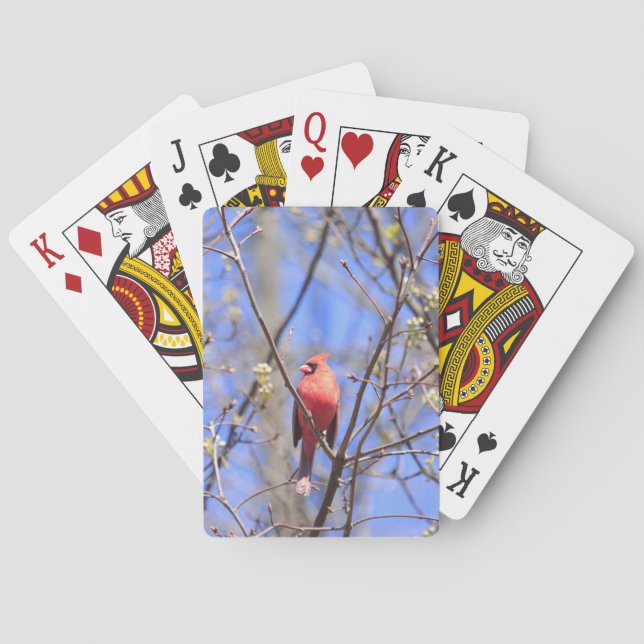 Playing cards with picture of northern Cardinal (Back)
