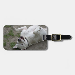 Playing Dogo Argentino Luggage Tag