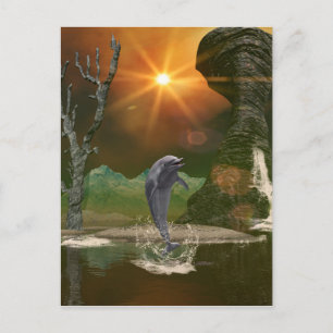 Playing dolphin in the beautiful sunset postcard