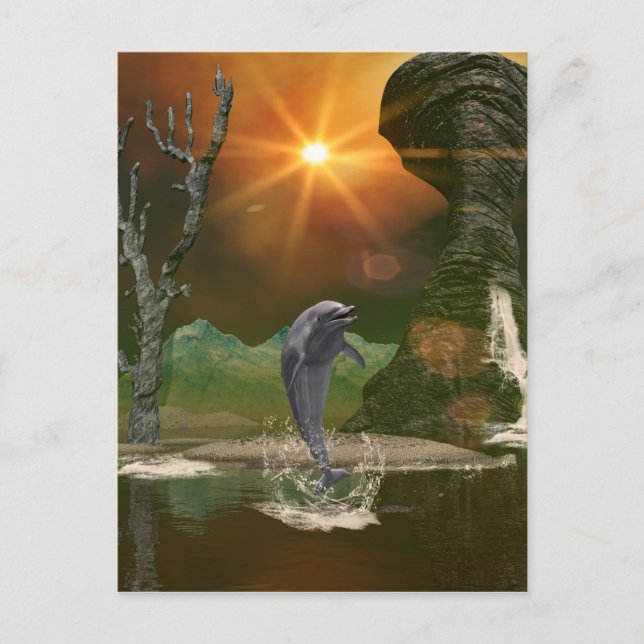 Playing dolphin in the beautiful sunset postcard (Front)