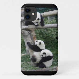 Playing Pandas iPhone5/5s Case