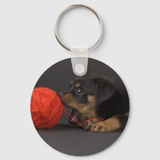Playing Puppy 4 Key Ring (Front)