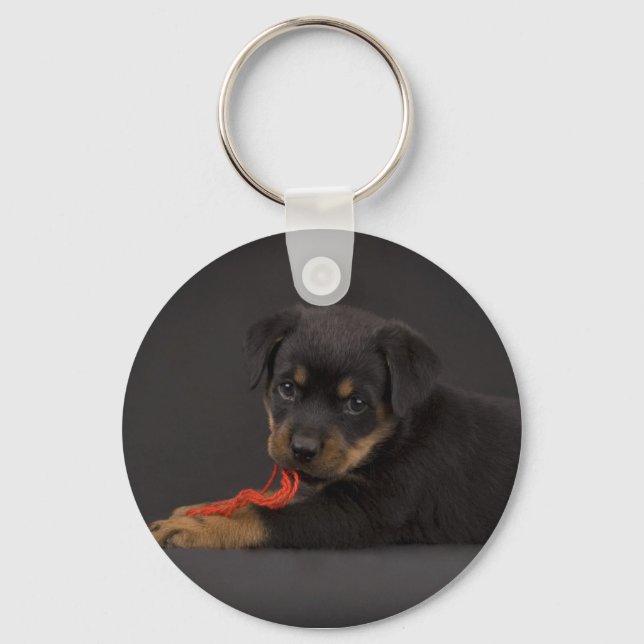 Playing Puppy 5 Key Ring (Front)