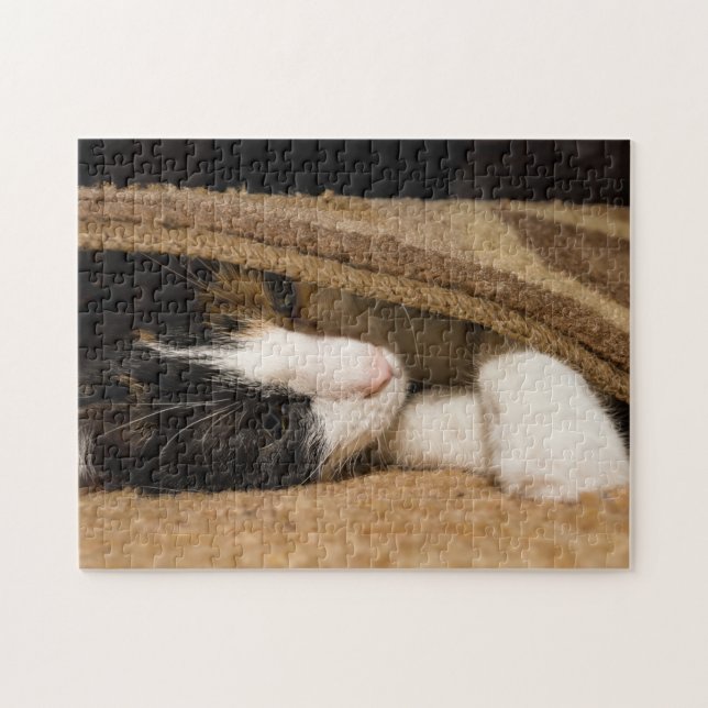 Playing Under The Rug Jigsaw Puzzle (Horizontal)