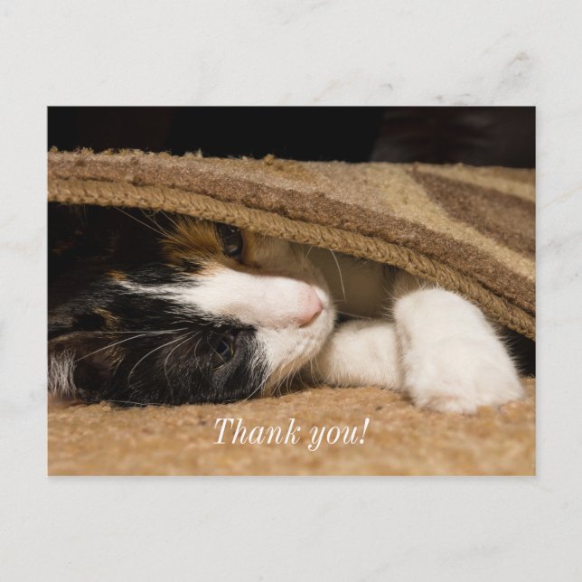 Playing Under The Rug Thank You Postcard (Front)